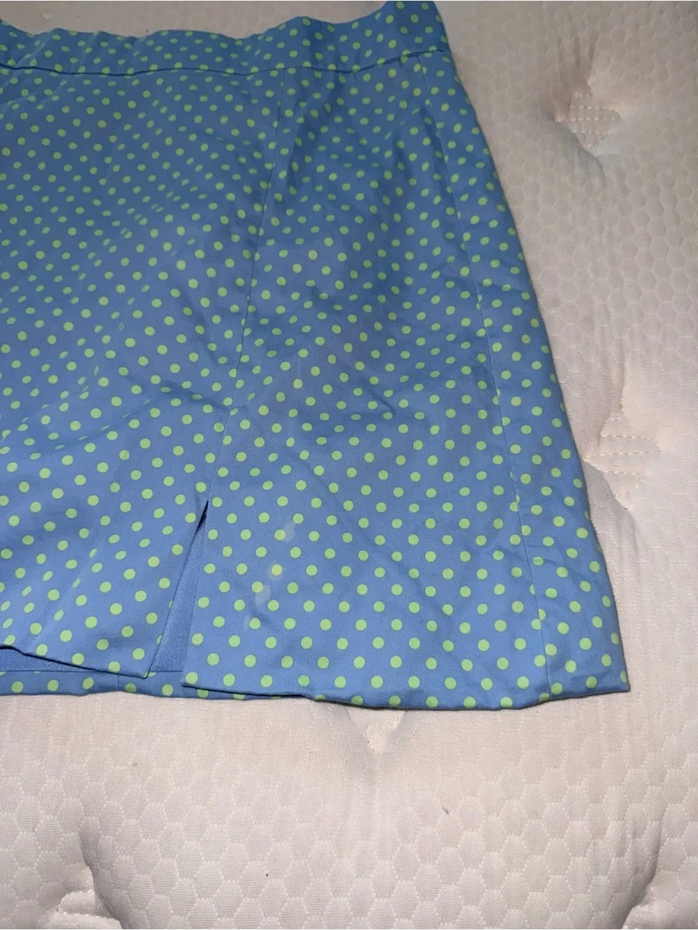 28. Zara Blue Polka Dot A-Line Skirt